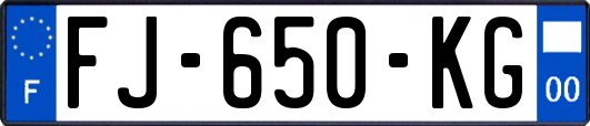 FJ-650-KG