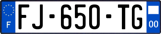 FJ-650-TG