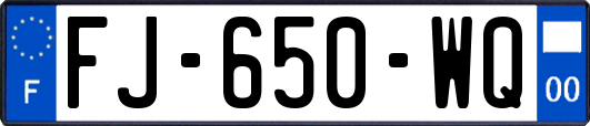 FJ-650-WQ