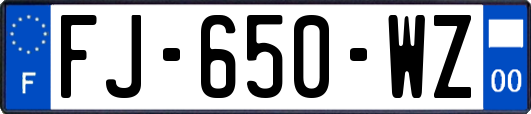 FJ-650-WZ