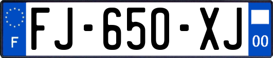 FJ-650-XJ