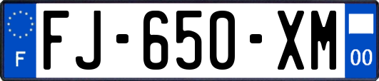 FJ-650-XM