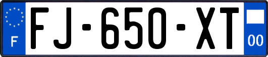 FJ-650-XT