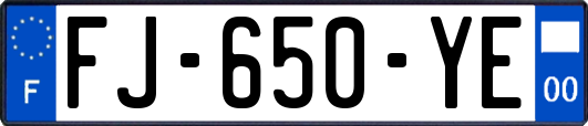 FJ-650-YE