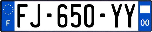 FJ-650-YY