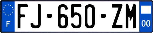 FJ-650-ZM