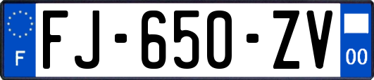 FJ-650-ZV