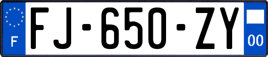 FJ-650-ZY