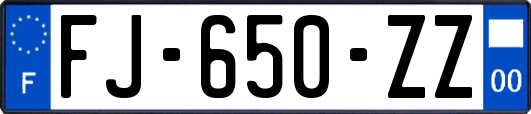 FJ-650-ZZ