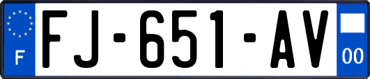 FJ-651-AV