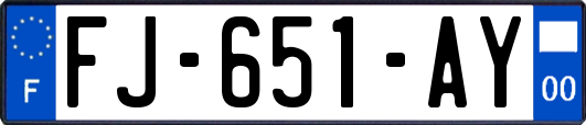 FJ-651-AY