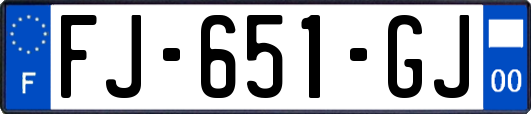 FJ-651-GJ