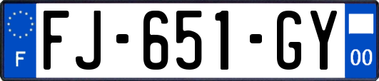 FJ-651-GY
