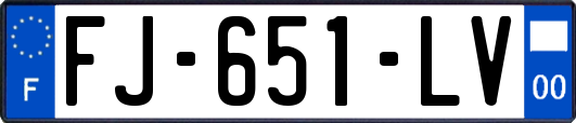 FJ-651-LV