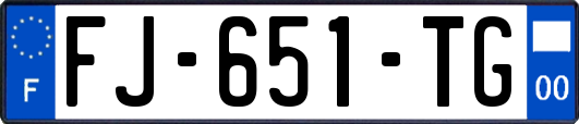 FJ-651-TG