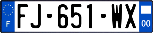 FJ-651-WX