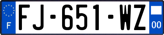 FJ-651-WZ