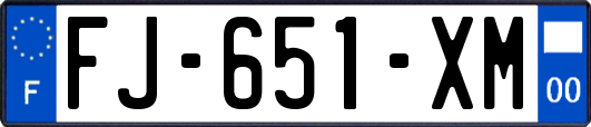 FJ-651-XM