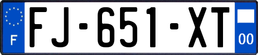 FJ-651-XT