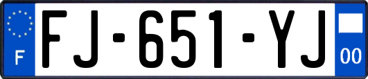 FJ-651-YJ
