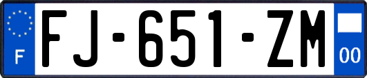 FJ-651-ZM