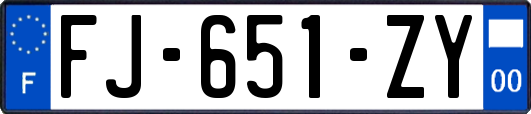 FJ-651-ZY