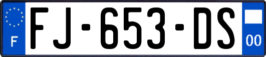 FJ-653-DS