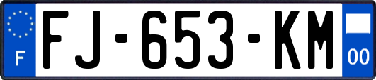 FJ-653-KM