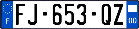 FJ-653-QZ