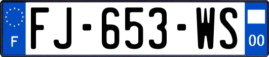 FJ-653-WS