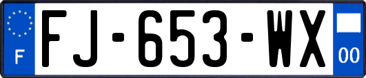 FJ-653-WX