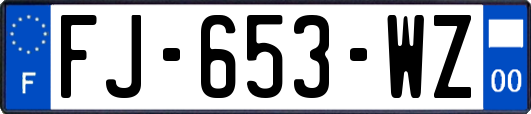 FJ-653-WZ