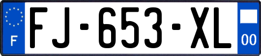 FJ-653-XL