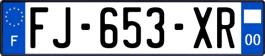 FJ-653-XR