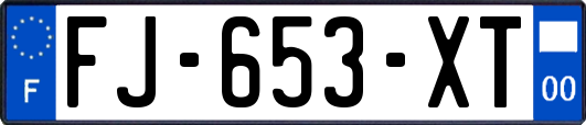 FJ-653-XT