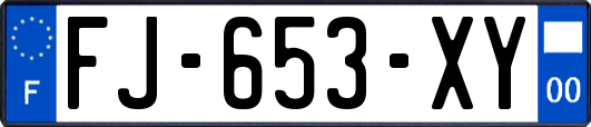FJ-653-XY