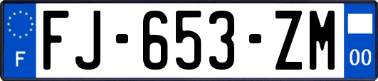 FJ-653-ZM