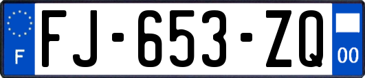 FJ-653-ZQ