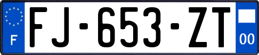 FJ-653-ZT