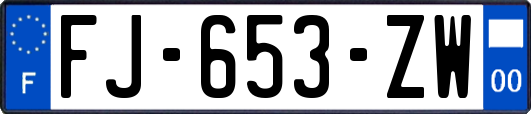 FJ-653-ZW