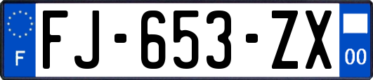 FJ-653-ZX