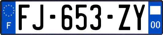 FJ-653-ZY