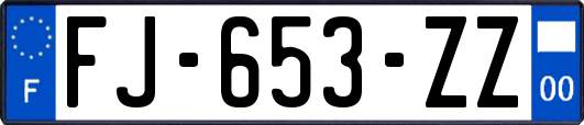 FJ-653-ZZ