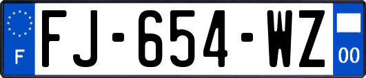 FJ-654-WZ