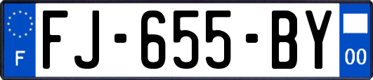 FJ-655-BY