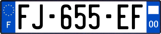 FJ-655-EF