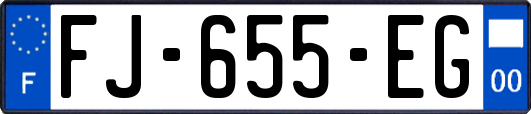 FJ-655-EG