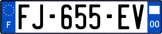 FJ-655-EV