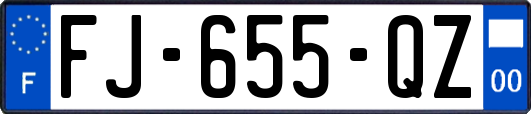 FJ-655-QZ