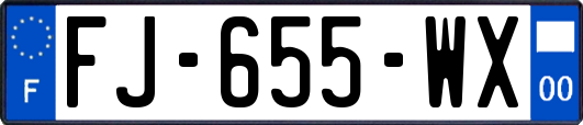 FJ-655-WX